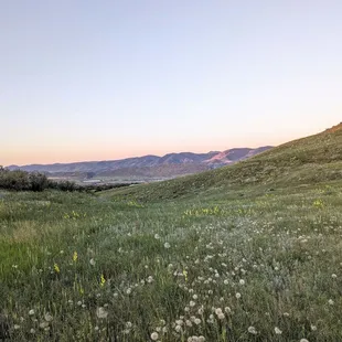 Instagram: @telephonesmoothie