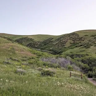 Instagram: @telephonesmoothie