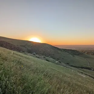 Instagram: @telephonesmoothie