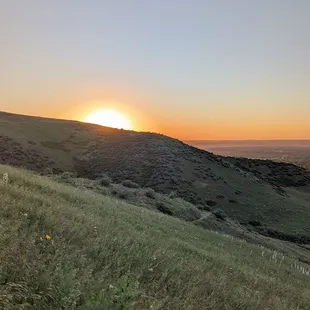 Instagram: @telephonesmoothie