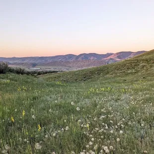 Instagram: @telephonesmoothie