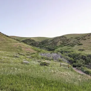 Instagram: @telephonesmoothie