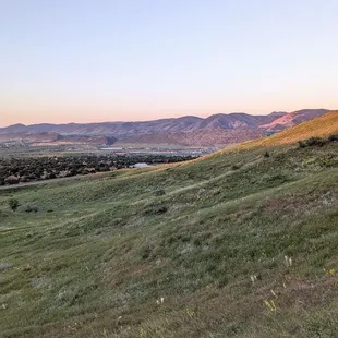 Instagram: @telephonesmoothie