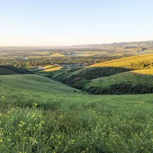 Instagram: @telephonesmoothie