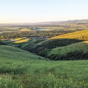 Instagram: @telephonesmoothie