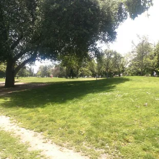 The greens suck right now