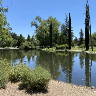 Beautiful spring afternoon in Sacramento