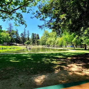 Another gratuitous duck pond photo