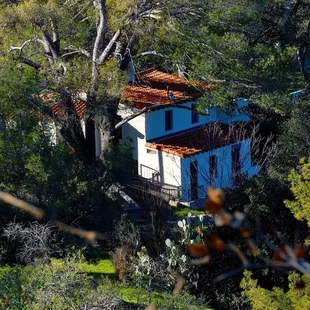 View of mansion from hiking trail