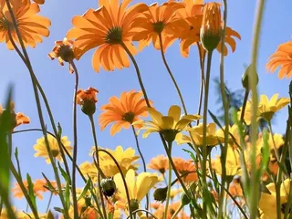 Clovis Botanical Garden