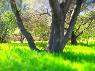 Stock Ranch Nature Preserve