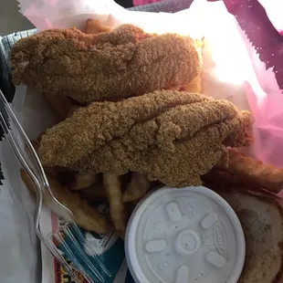 Fish Plate