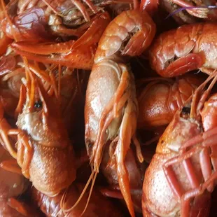 Boiled crawfish