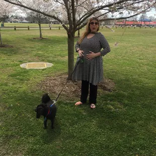 Singing under a cherry tree