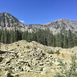 Boulder field