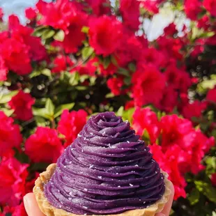 Purple Sweet Potato Tart