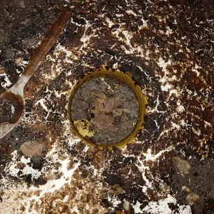 The kitchen sink (not our build up) from the neighbors drainage.