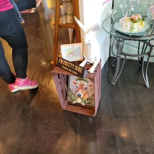 Easter maybe over but bunnies are always adorable