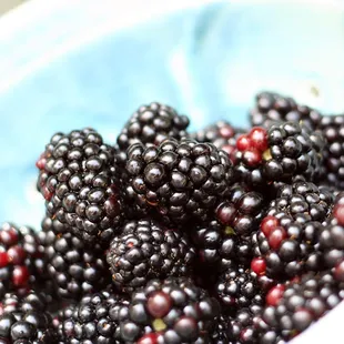 Blackberries