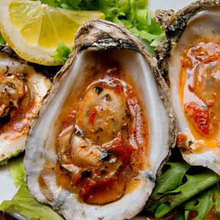 Kelly J. Mihalcoe Photography