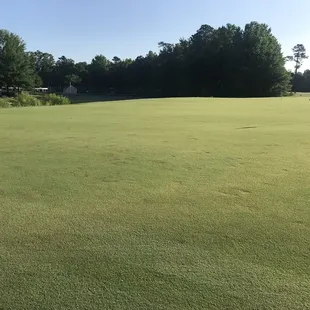 Practice putting green: as you can see, the surface is in rough shape.