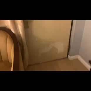 Williamsburg Suites property!  0 out of 10, don't stay there. THIS is how it really looks as June 28, 2024.