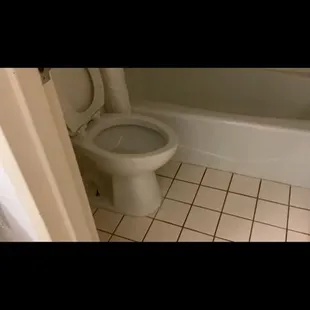 Williamsburg Suites property!  0 out of 10, don't stay there. THIS is how it really looks as June 28, 2024.