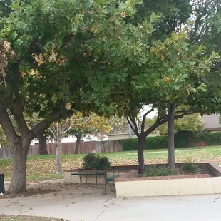 Shaded common area/benches
