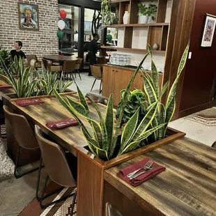 interior, sushi and sashimi