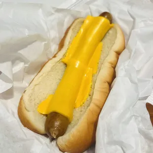 Small Hot Dog with Cheese for over $9!