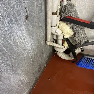 The bast kitchen