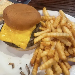 Cheeseburger and fries