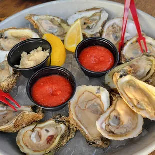 James River Oysters