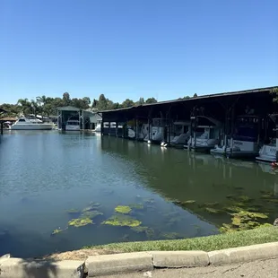 They had a machine picking up weeds today, part of keeping it clean