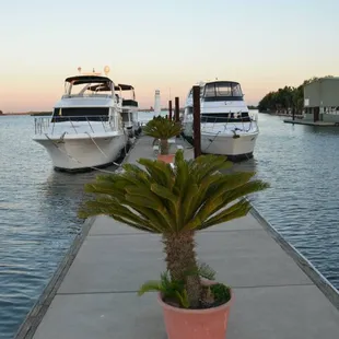 Guest Dock with Full Hook Ups &amp; BBQs