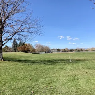 Baseball field and more!