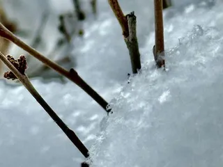 Hildebrand Ranch Park
