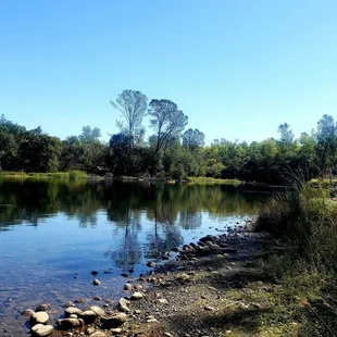 Shallow cove leading up to the dock at Willow Creek