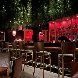 Willow's bar and willow tree.