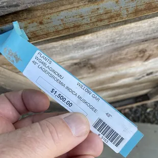 Large trees are expensive and you're looking at $800 for install on top