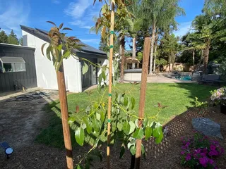 Lotus Gardens Outdoor Living Center