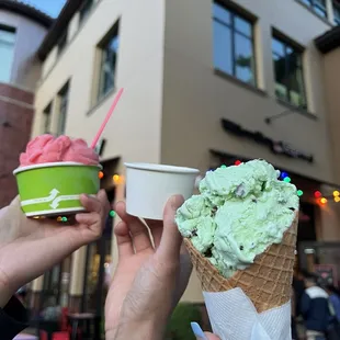 Mint Chocolate Chip Ice Cream in a Waffle Cone, Doggy Ice Cream and a Black Raspberry Sorbet