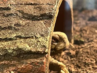 Willow Lake Nature Center