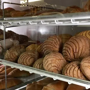 Mmmm, pan dulce!