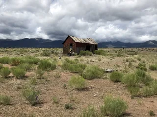 Llama Trekking By Lookin Up Outfitters