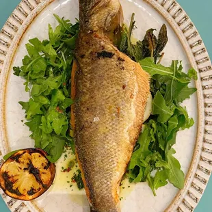 Branzino