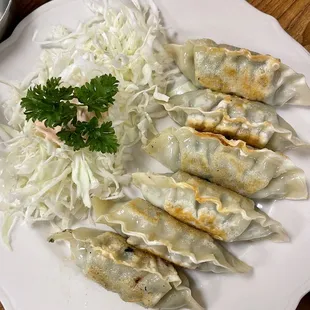 Fried Mandoo