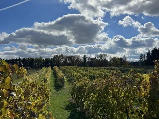 Saint Croix Vineyards