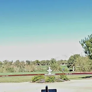 Looking out back toward golf course