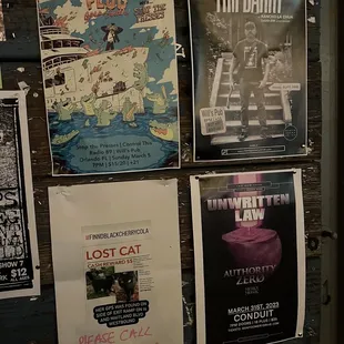 Upcoming shows - Really want to see Lost Cat!!!